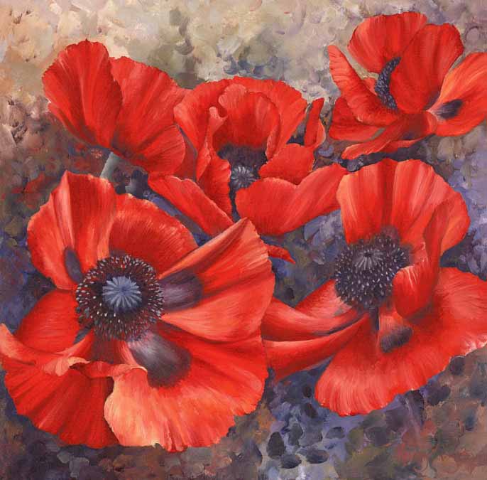 HM – Garden, Floral – Poppies © Hilary Mayes