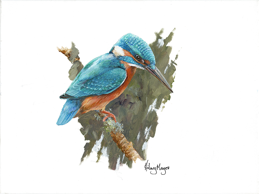 HM – Kingfisher © Hilary Mayes