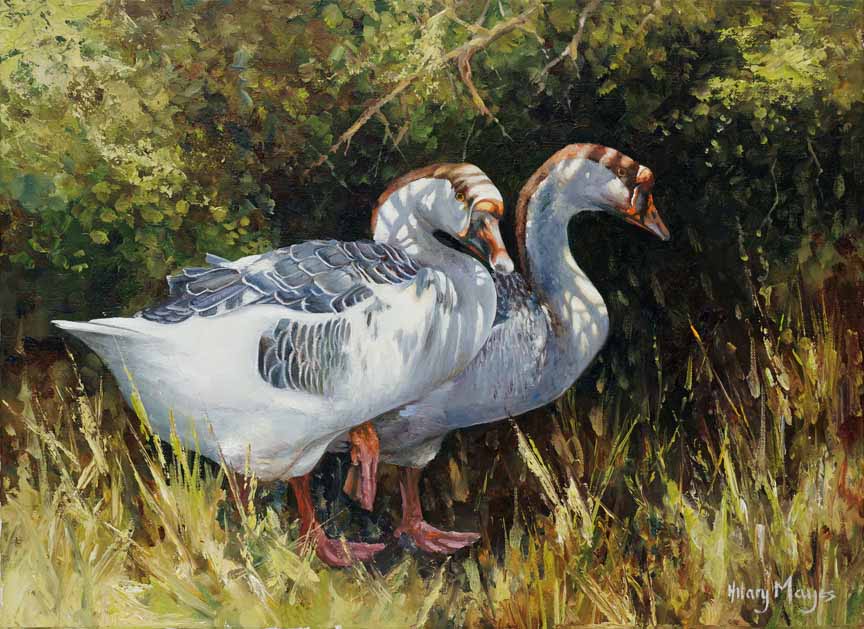 HM – Wildlife – Geese © Hilary Mayes