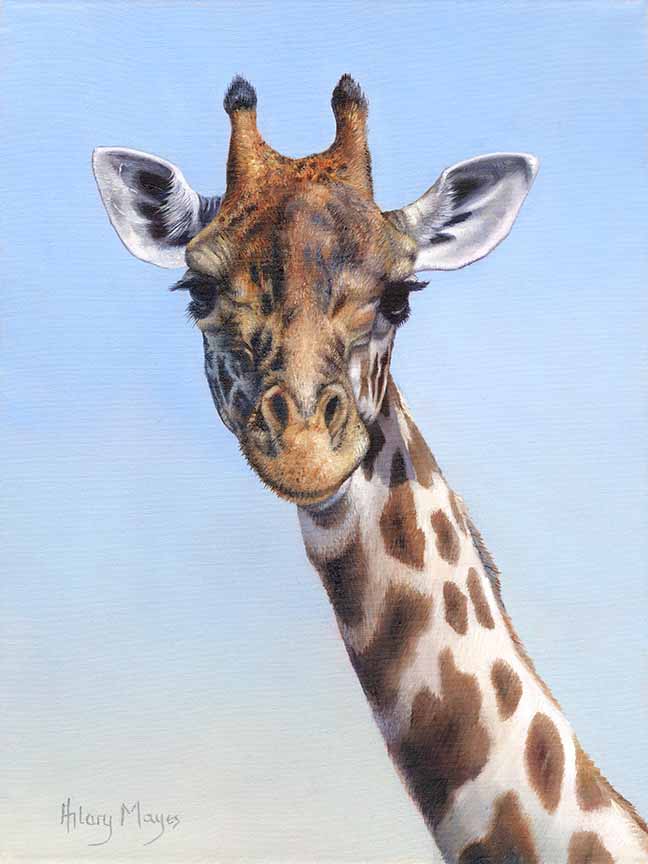 HM – Wildlife – Giraffe © Hilary Mayes