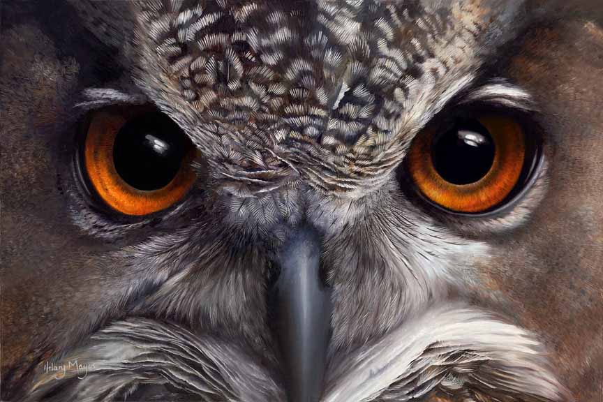 HM – Wildlife – Night Vision – European Eagle Owl © Hilary Mayes
