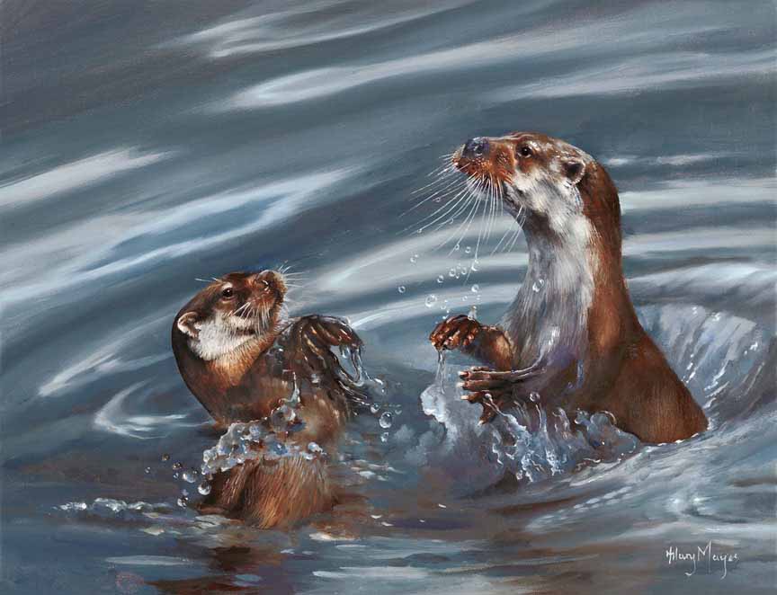 HM – Wildlife – Otters © Hilary Mayes