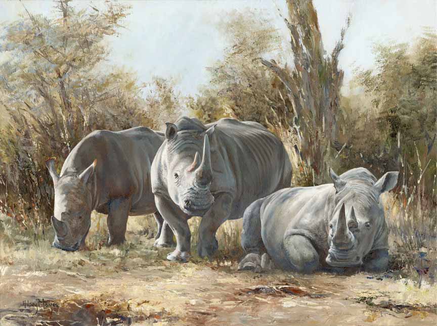 HM – Wildlife – Rhino Group © Hilary Mayes