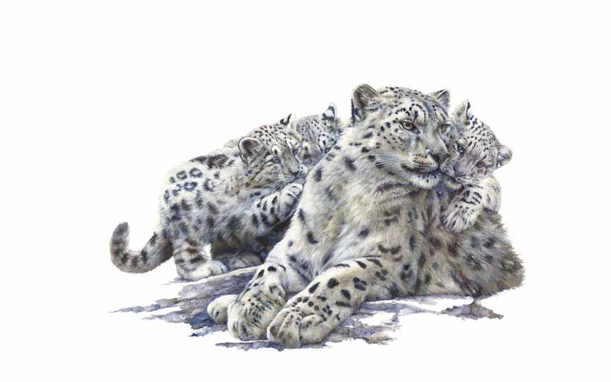 HM – Wildlife – Snow Leopard Family © Hilary Mayes