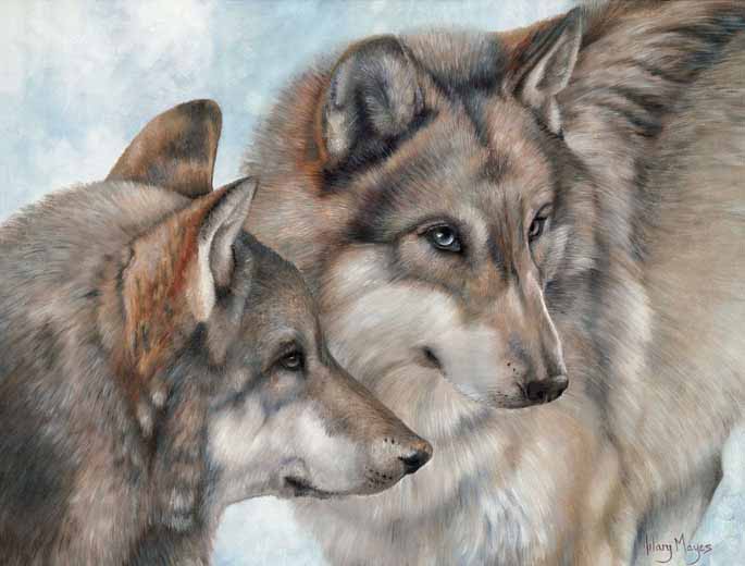 HM – Wildlife – Wolf Pair Portrait © Hilary Mayes