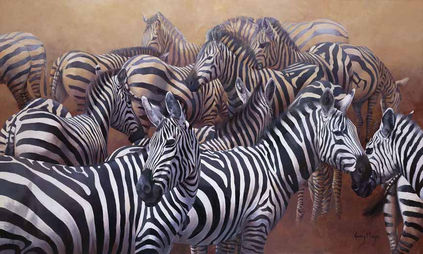 HM – Wildlife – Zebras Drinking © Hilary Mayes