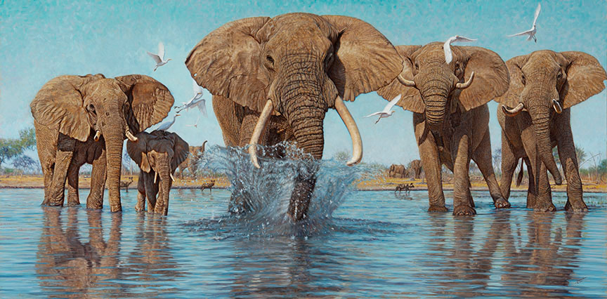 JB – African – An Elephant In The Room © John Banovich