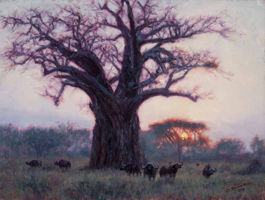 JB – African – Baobab & Buffalo © John Banovich