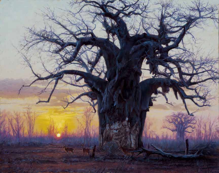 JB – African – Baobab at Sunset © John Banovich