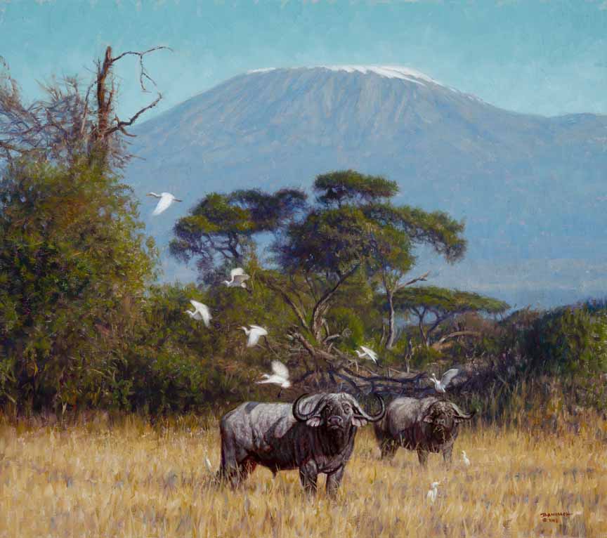 JB – African – Buffalo Near Kilimanjaro © John Banovich