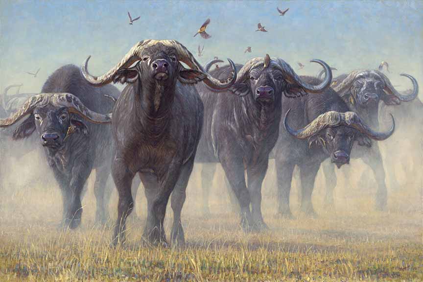 JB – African – Buffalo Soldiers © John Banovich