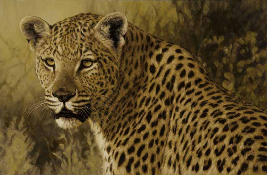 JB – African – Duncan Big 5 – Leopard © John Banovich
