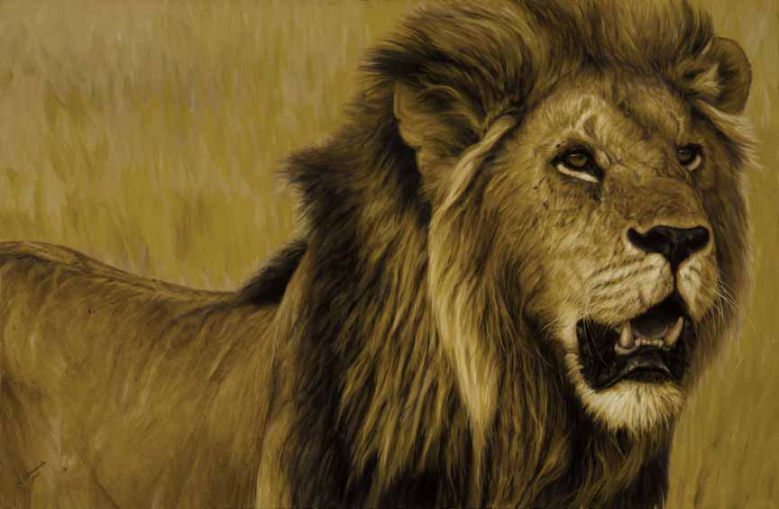 JB – African – Duncan Big 5 – Lion © John Banovich