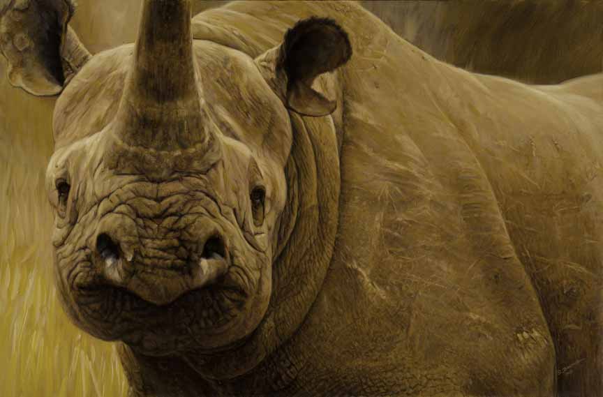 JB – African – Duncan Big 5 – Rhino © John Banovich