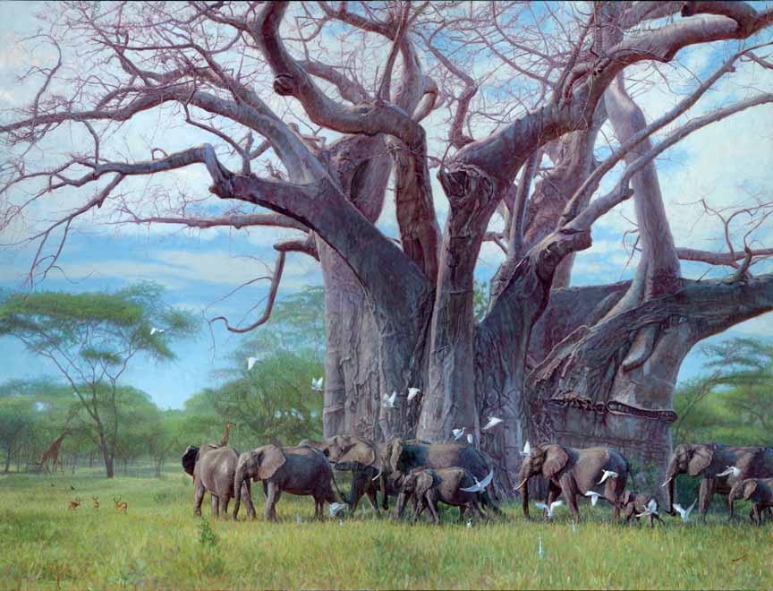 JB – African – Giant Among Giants © John Banovich