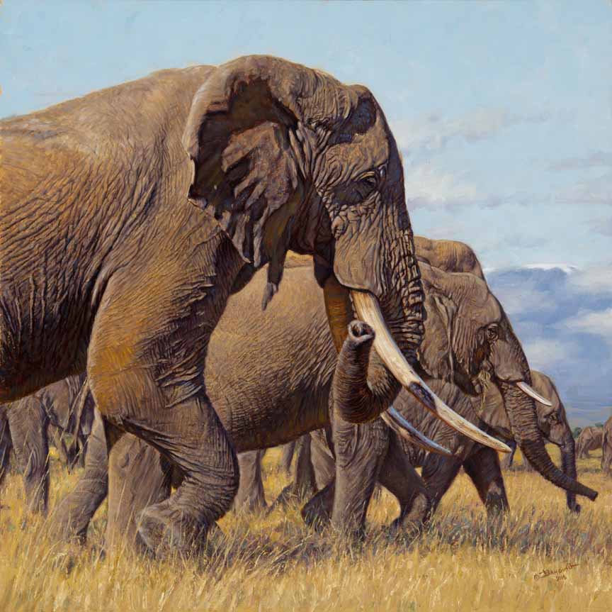 JB – African – Giants of Kilimanjaro © John Banovich