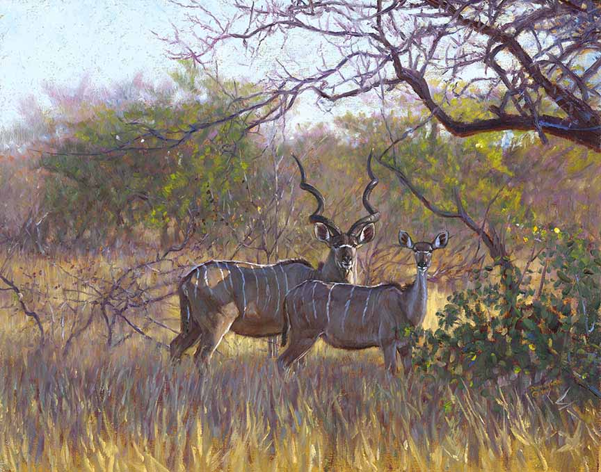 JB – African – Kudu In The Lowveld © John Banovich