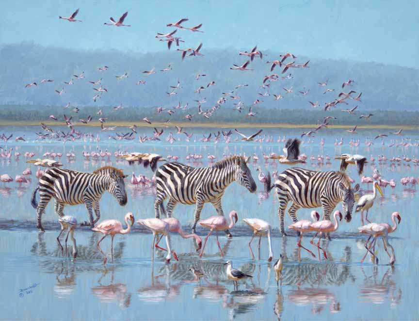 JB – African – Nakuru Pink Parade © John Banovich