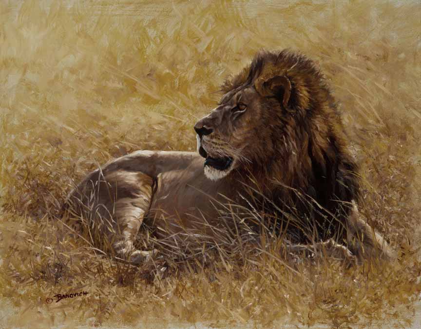 JB – African – Reigning King © John Banovich