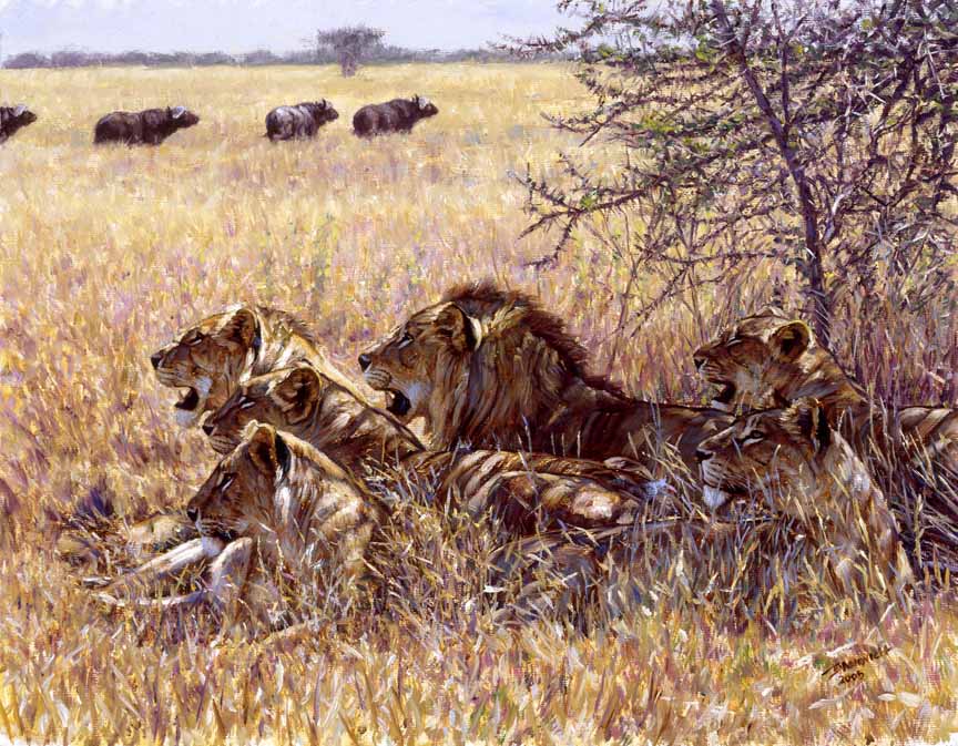 JB – African – Return of The Buffalo © John Banovich