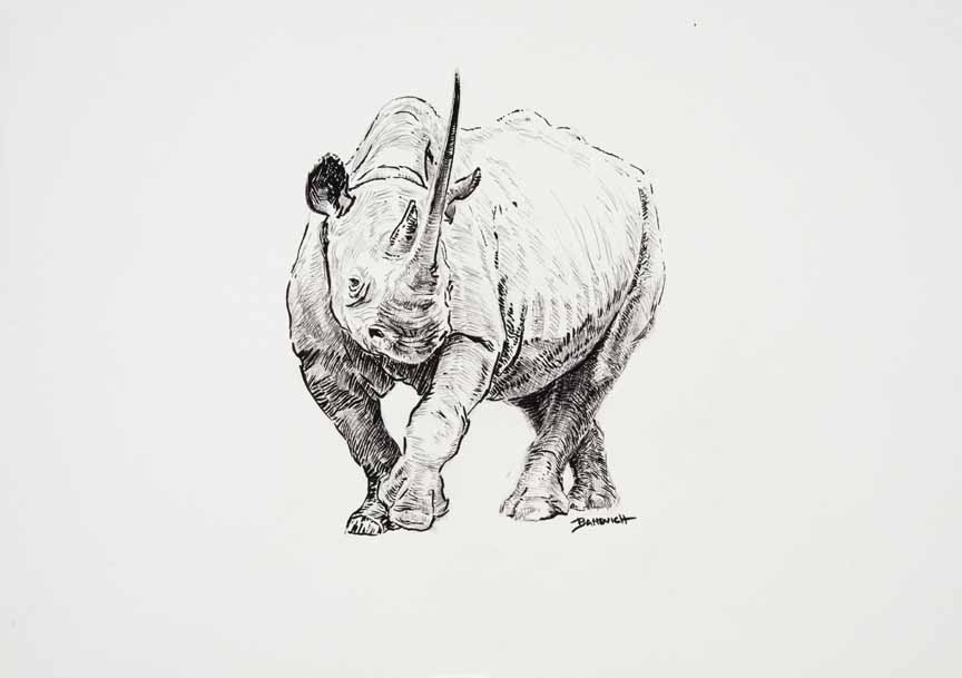 JB – African – Rhino © John Banovich