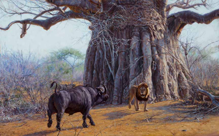 JB – African – Standoff Beneath the Baobab © John Banovich
