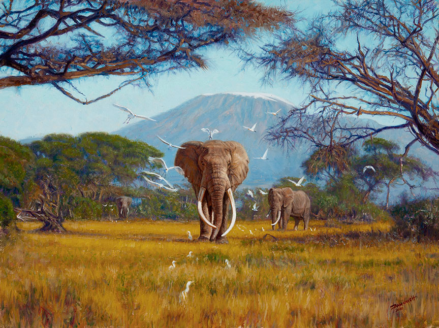 JB – African – The Big Tuskers of Kilimanjaro © John Banovich