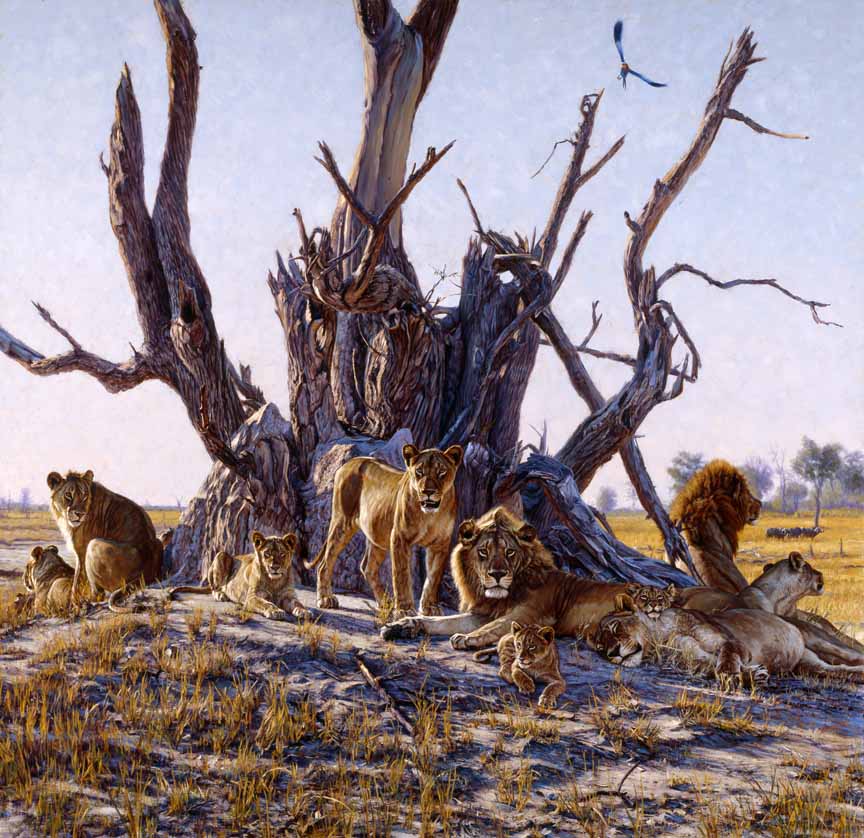 JB – African – The Lions Den © John Banovich