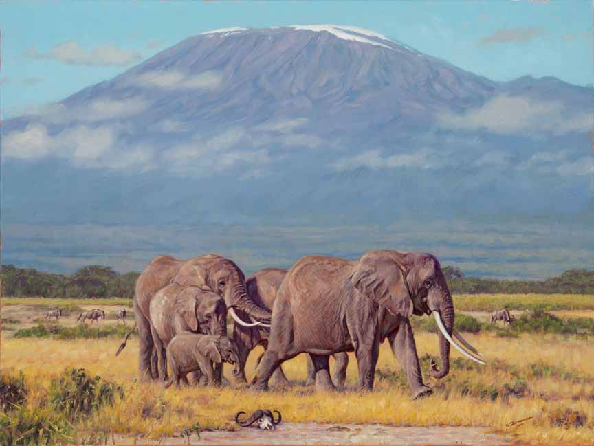 JB – African – The Plains of Kilimanjaro © John Banovich
