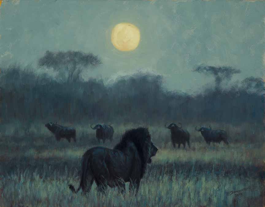 JB – African – Under a Simba Moon © John Banovich