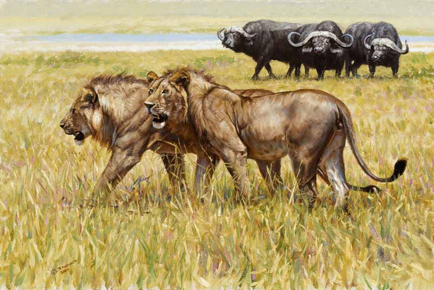 JB – African – Way To Much Bull © John Banovich
