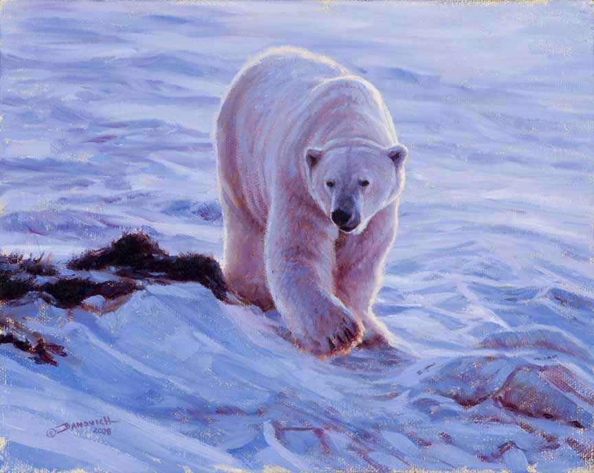 JB – NA – Lord of The Arctic © John Banovich