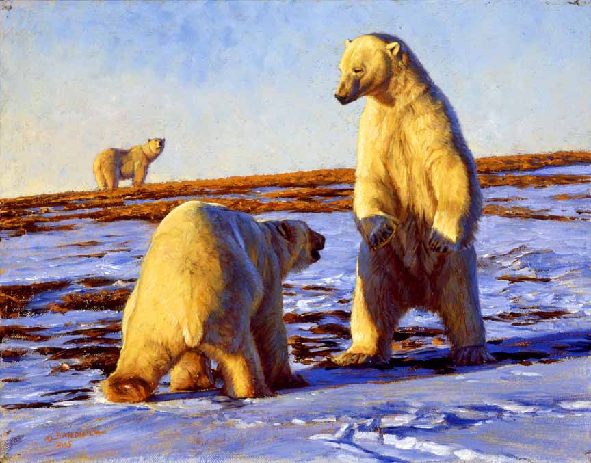 JB – NA – Lords of The Arctic © John Banovich