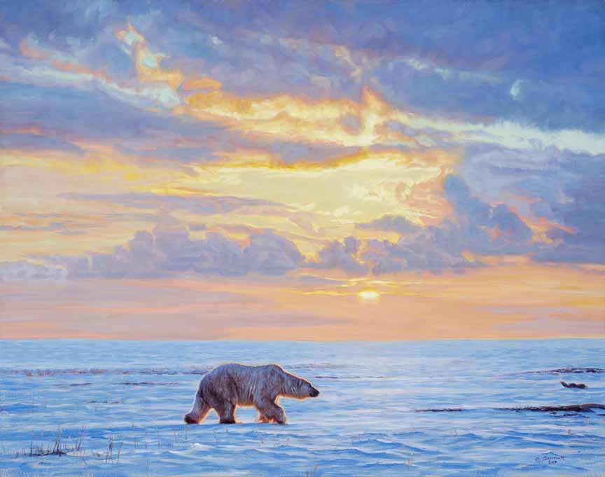 JB – NA – Polar Dawn © John Banovich