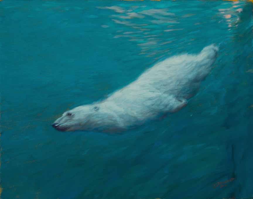 JB – NA – Underwater Polar Bear Study © John Banovich