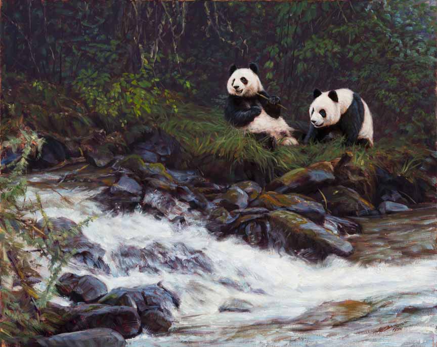 JB – Panda – Fengxong Xai © John Banovich