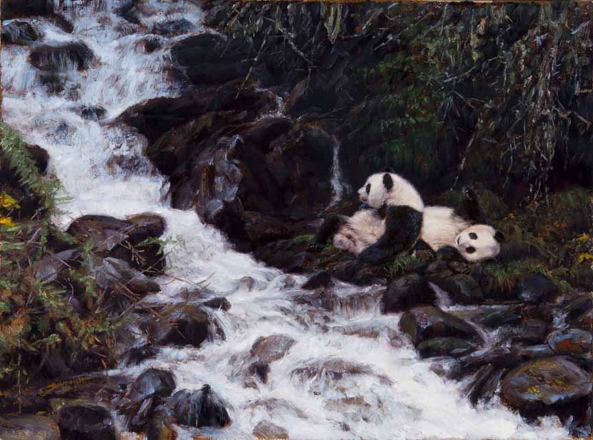 JB – Panda – Panda Prayer © John Banovich