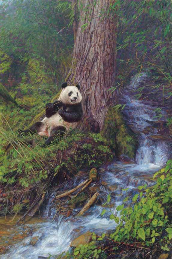 JB – Panda – Panda ShangriLa © John Banovich