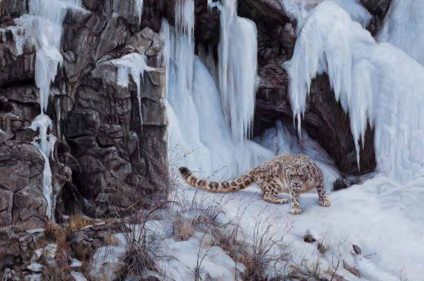 JB – Snow Leopard – The King of The Karakoram’s © John Banovich
