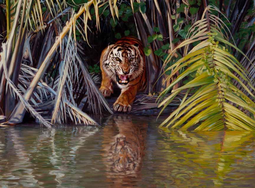 JB – Tiger – Man-Eater of Sumatra © John Banovich