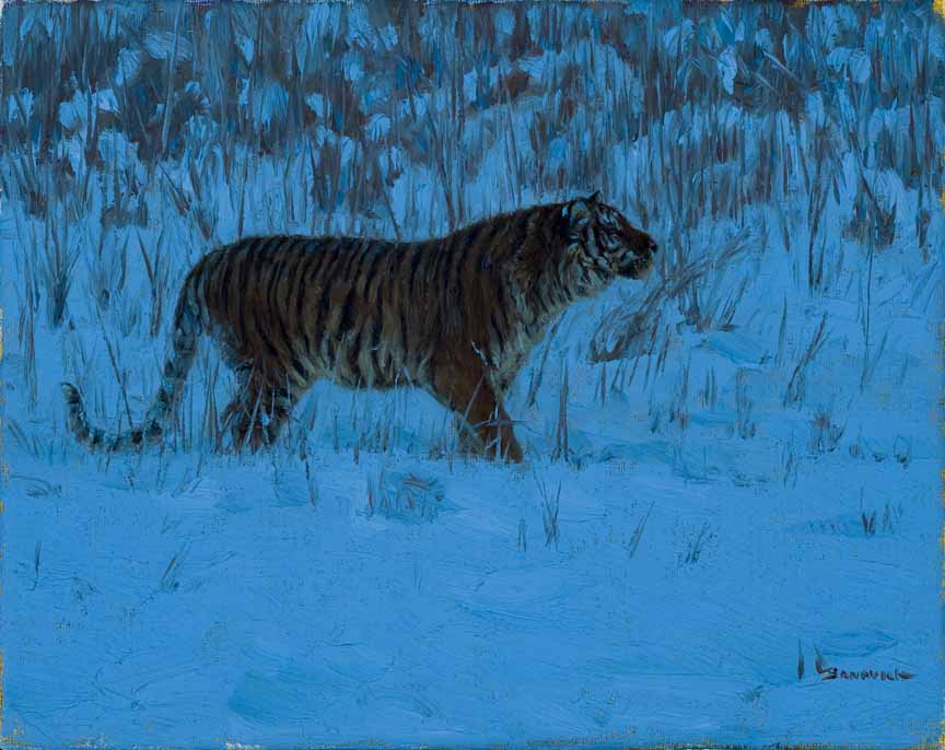 JB – Tiger – Night Stalker © John Banovich