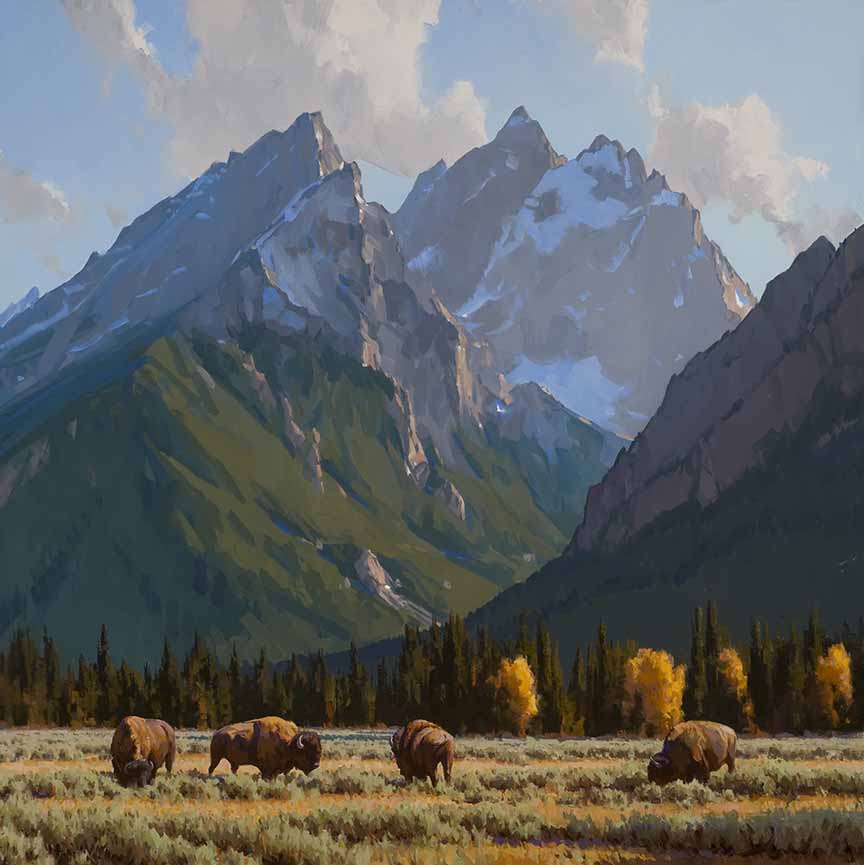 JD2 – Cathedral Bison, Grand Tetons © Jimmy Dyer