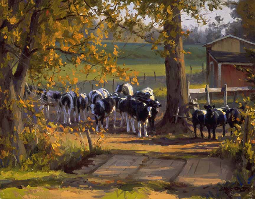 JD2 – Holstein Evening © Jimmy Dyer