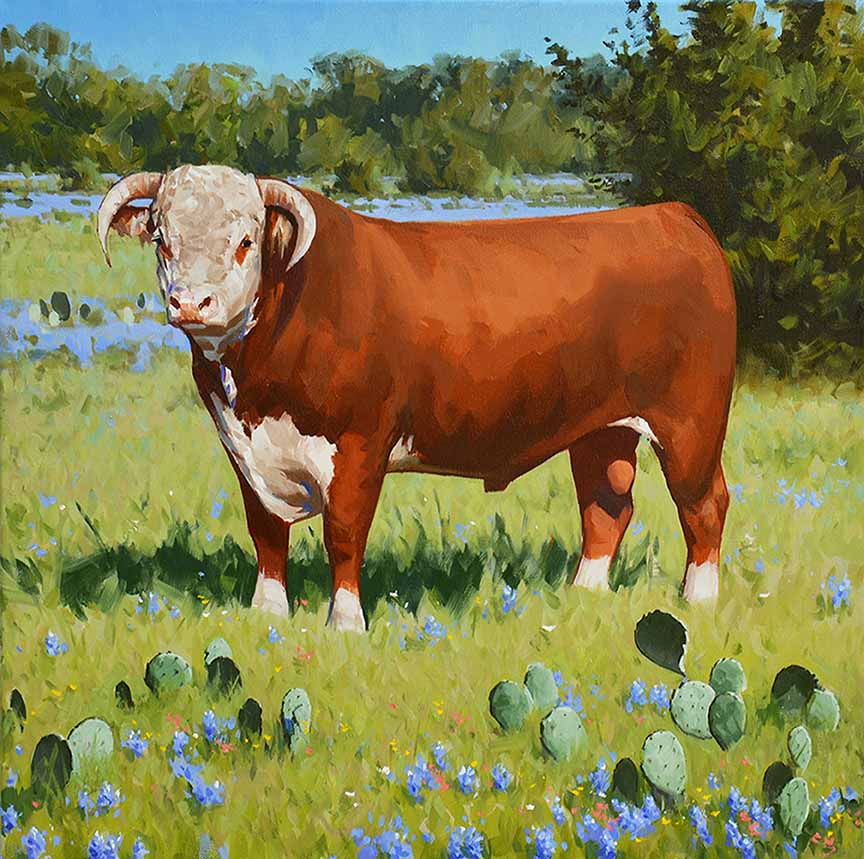 JD2 – Springtime Bull © Jimmy Dyer