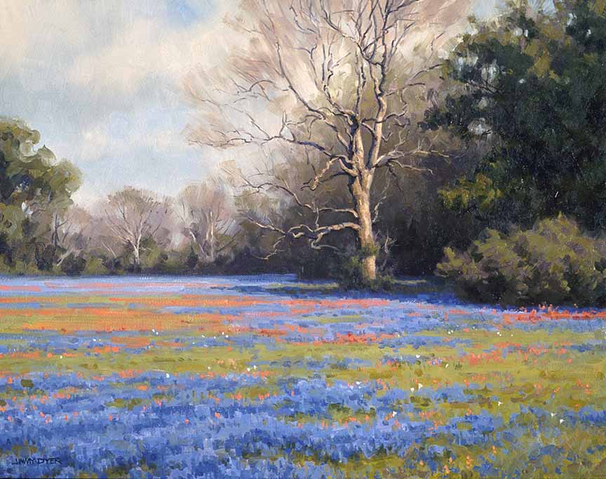 JD2 – Texas Wildflowers © Jimmy Dyer