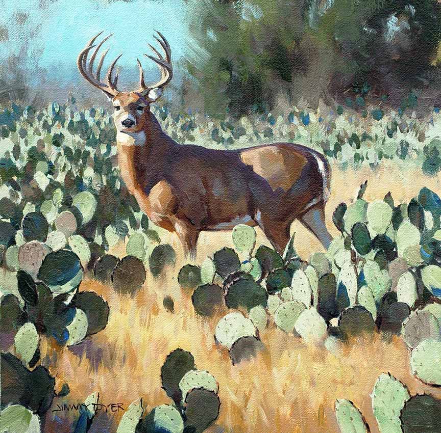JD2 – Whitetail in Cactus 2 © Jimmy Dyer