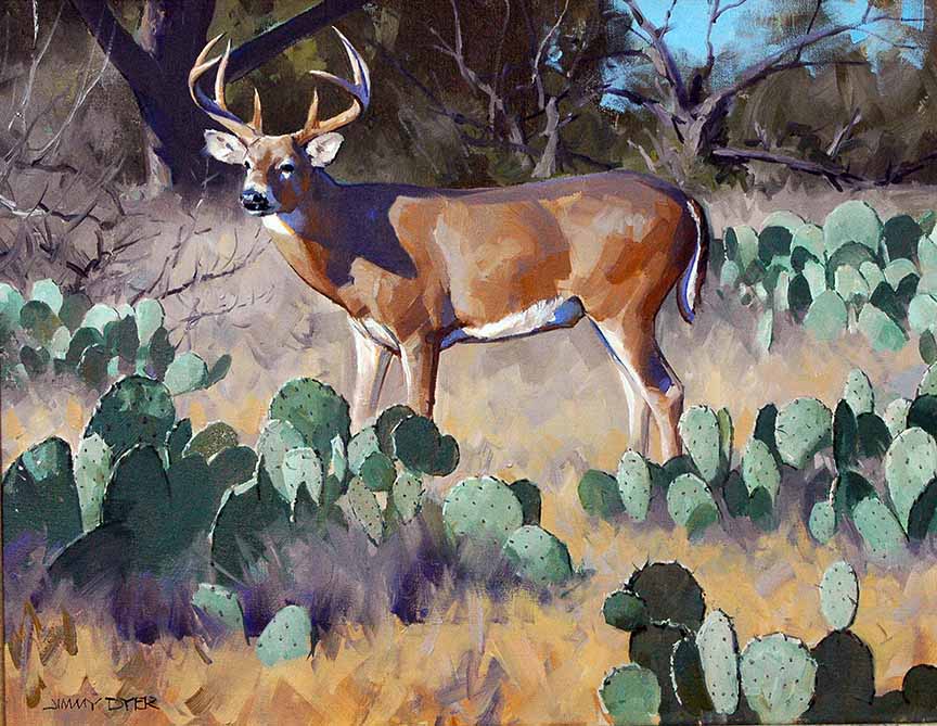 JD2 – Whitetail in Cactus © Jimmy Dyer