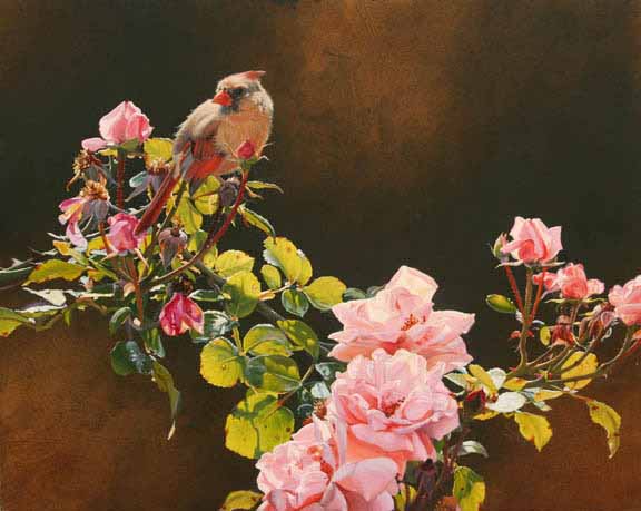 JM – Female Cardinal and Roses © John Mullane