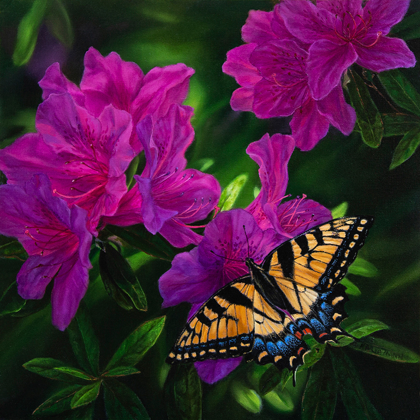 KM – Butterfly Delight © Karla Mann