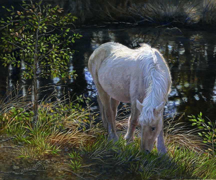 KM – Chincoteague Pony © Karla Mann